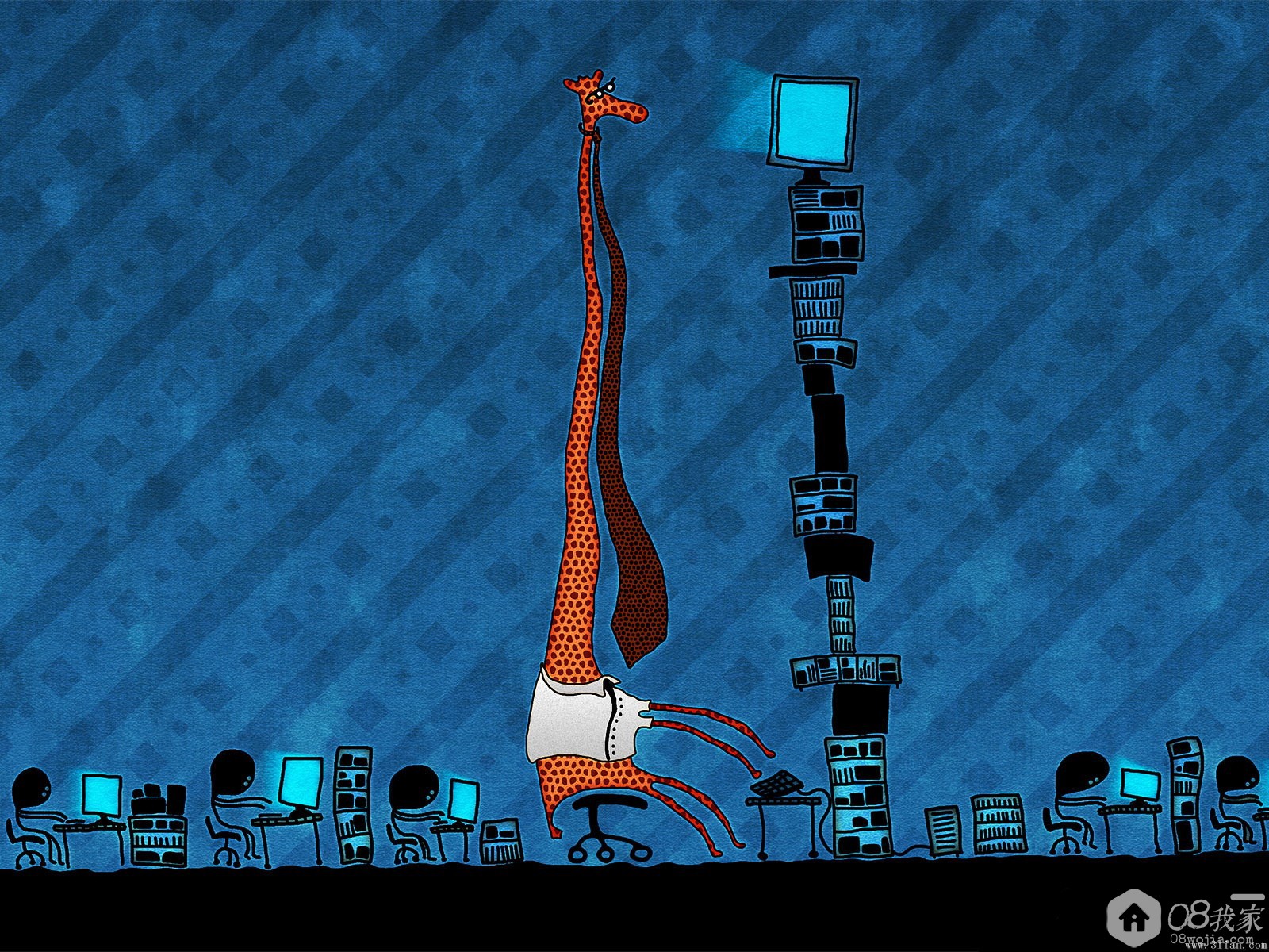 003.jpg