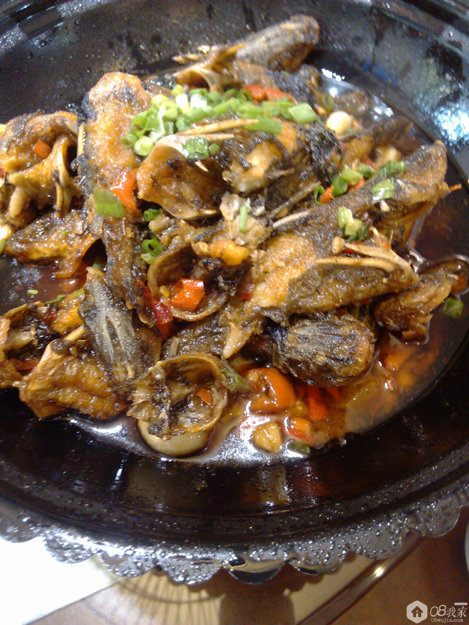 IMG_20131106_121755.jpg