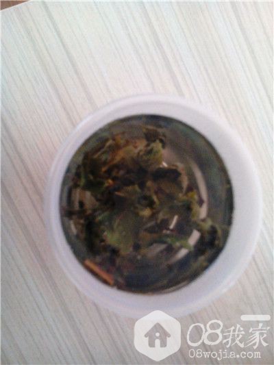 IMG20131116111146_副本.jpg IMG20131116111146_副本.jpg