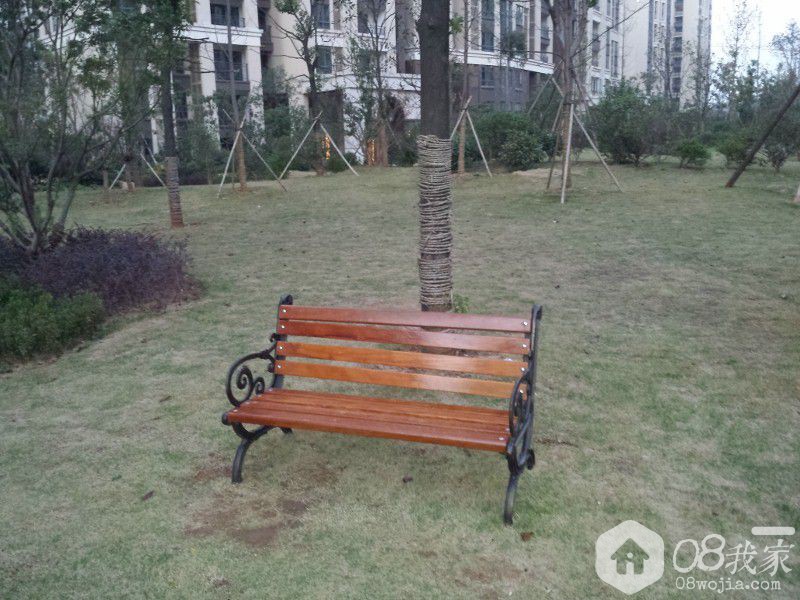  (800x600).jpg