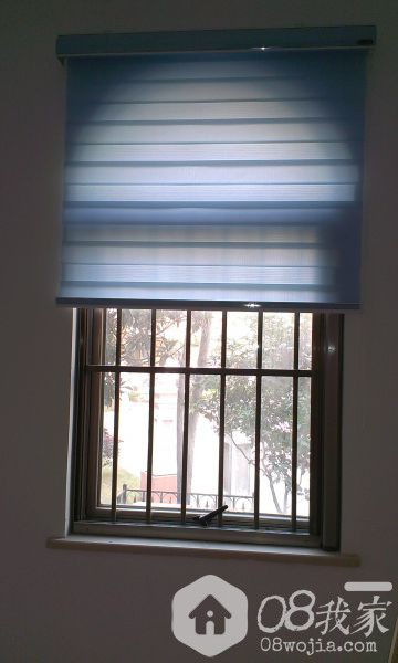 IMAG0699.jpg