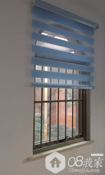 IMAG0700.jpg