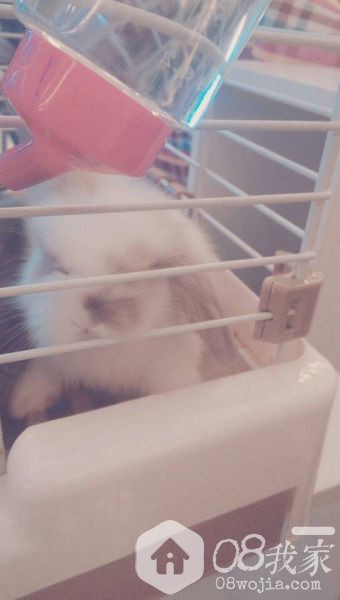 QQͼƬ20131123102144.jpg