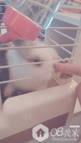 QQͼƬ20131127095304.jpg