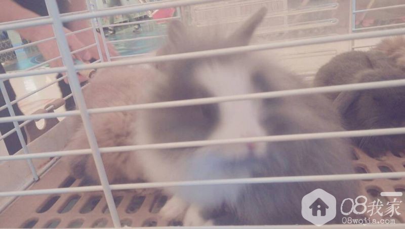 QQͼƬ20131127095324.jpg