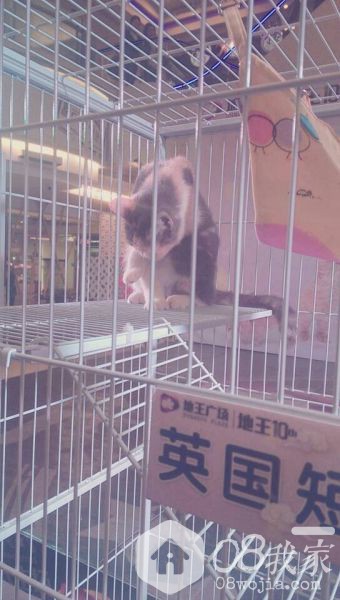 QQͼƬ20131127095328.jpg