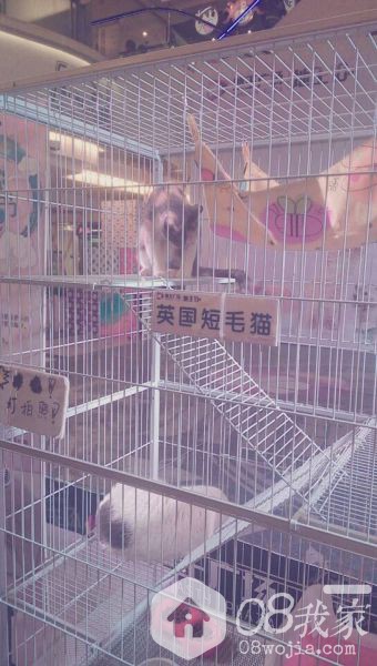 QQͼƬ20131127095334.jpg