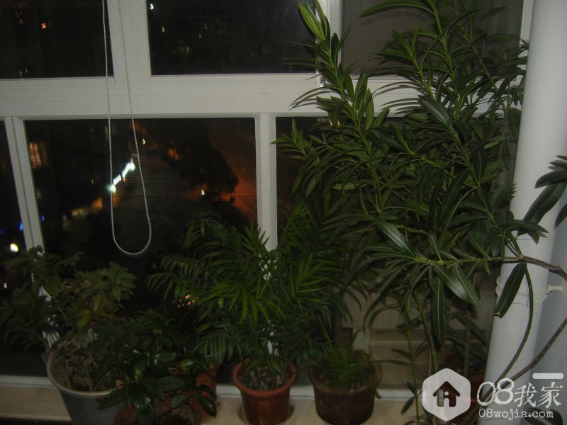 SNV82007.JPG