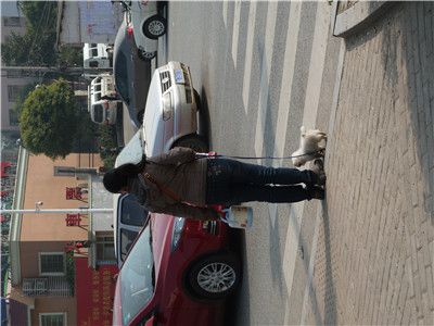 P1210058.jpg