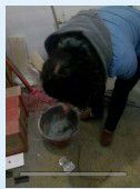 QQͼƬ20131216143329.jpg