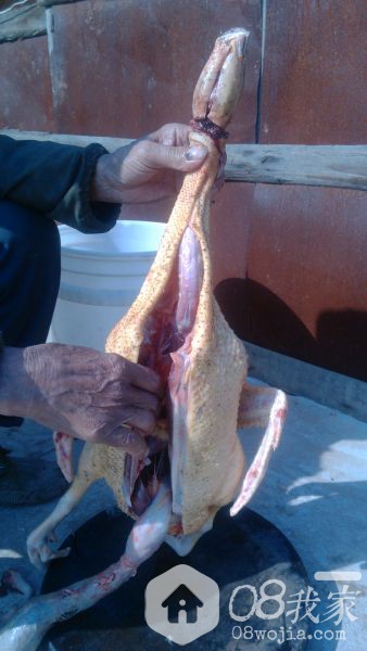 IMG_20131231_130805.jpg