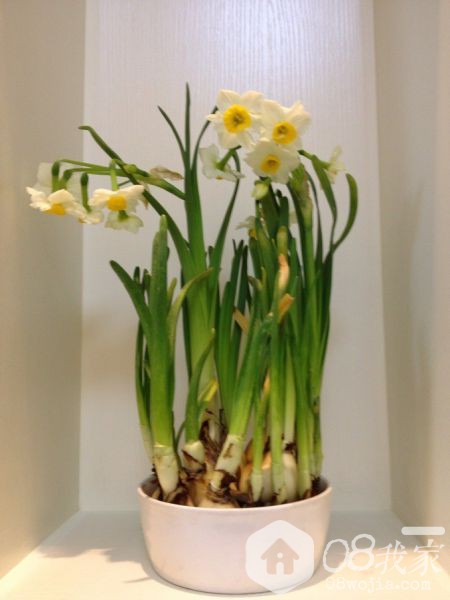 QQͼƬ20140124105825.jpg