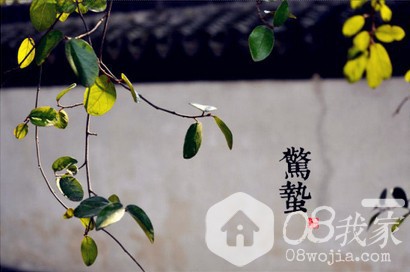 QQ截图20140306104558.jpg QQ截图20140306104558.jpg