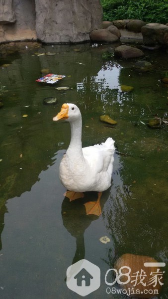 20140611_103228.jpg