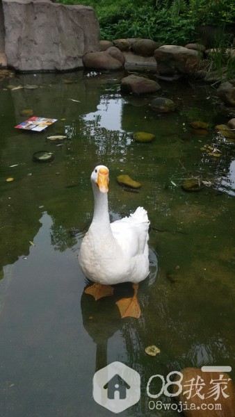 20140611_103221.jpg