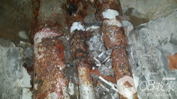 20140803_155027.jpg