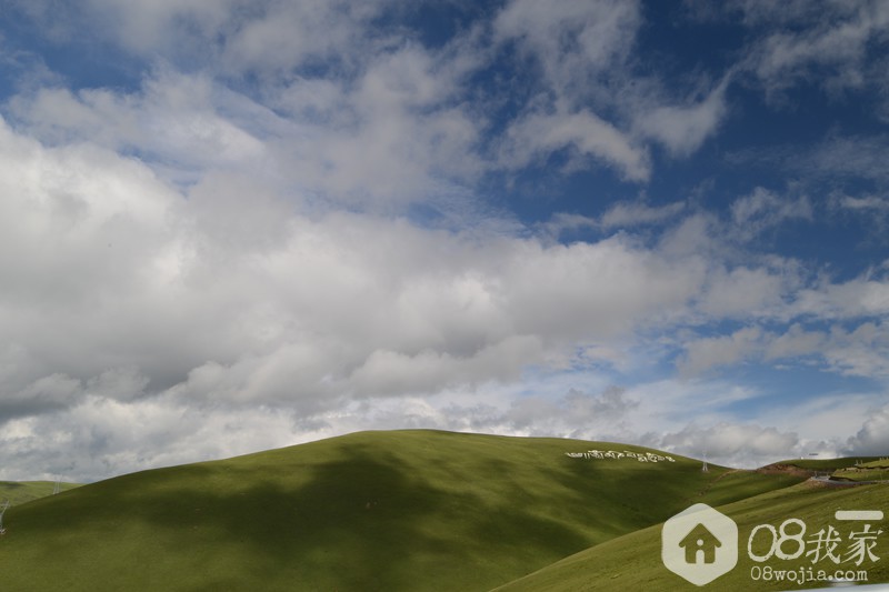 DSC_1894.jpg