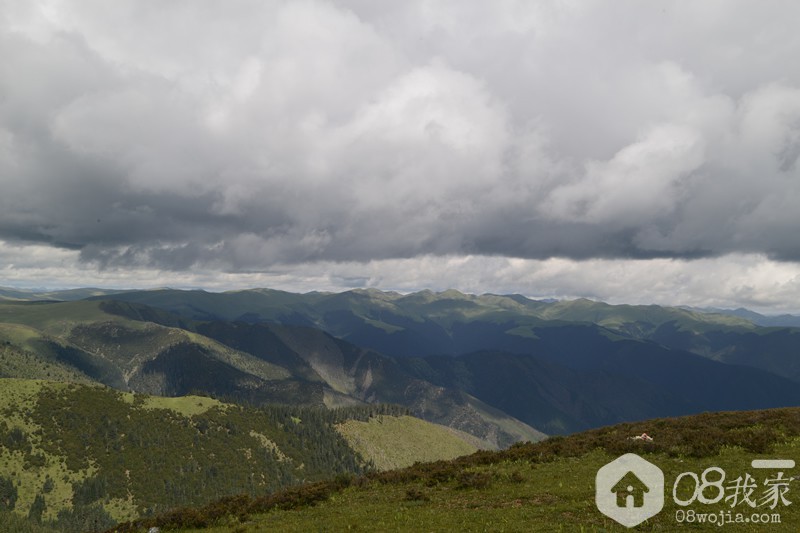 DSC_1901.jpg