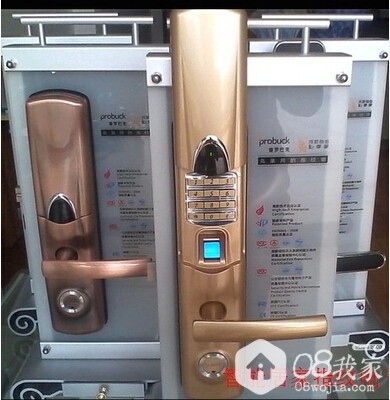 PROBUCK F2ָ.jpg