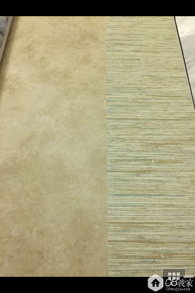 鷿С.png