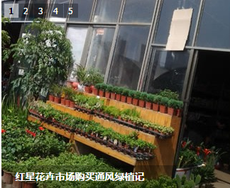 QQͼƬ20151029102120.png