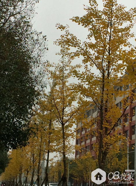 Ļ 2015-11-28 1.17.18.png