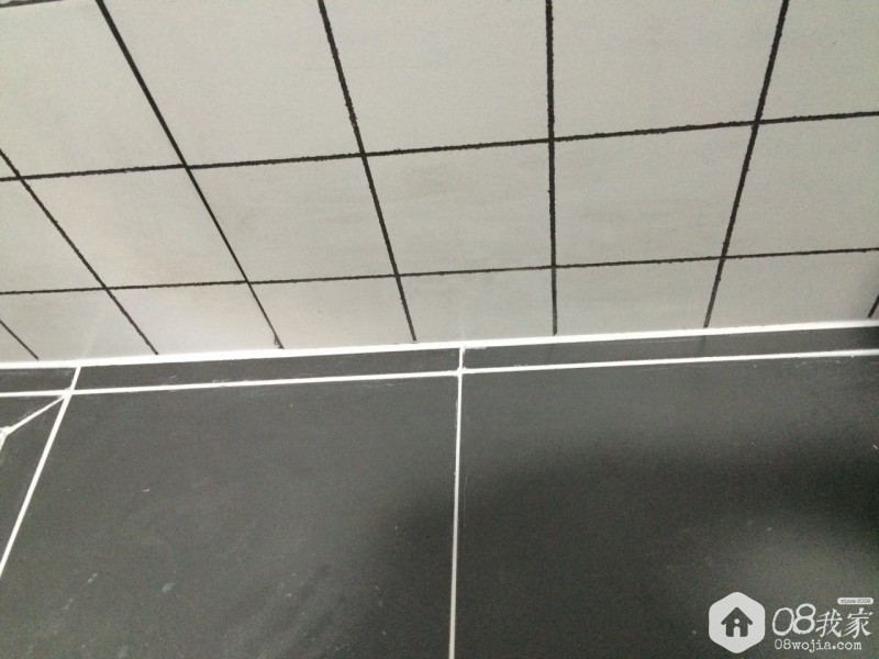 21232746.jpg