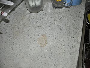 timg (4).jpg