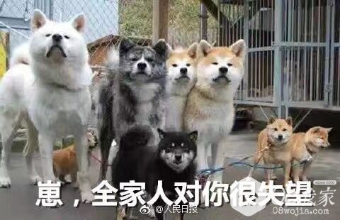 ȫ˶ʧ.jpg