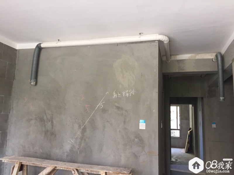 902589.jpg