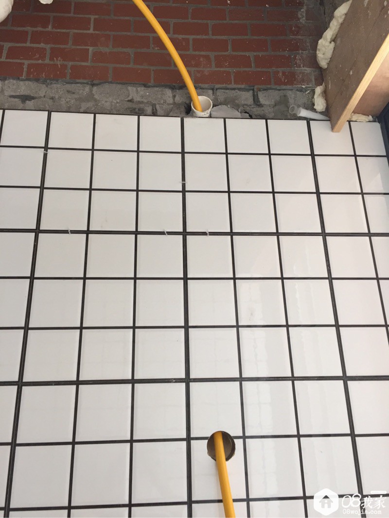 876057.jpg