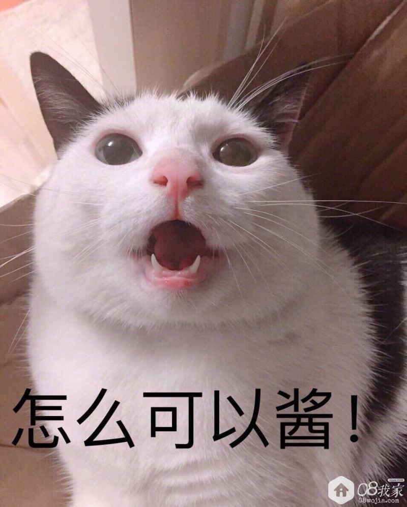 3 3336.JPG