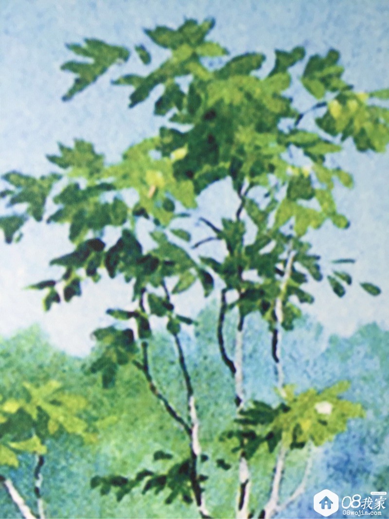 953203.jpg