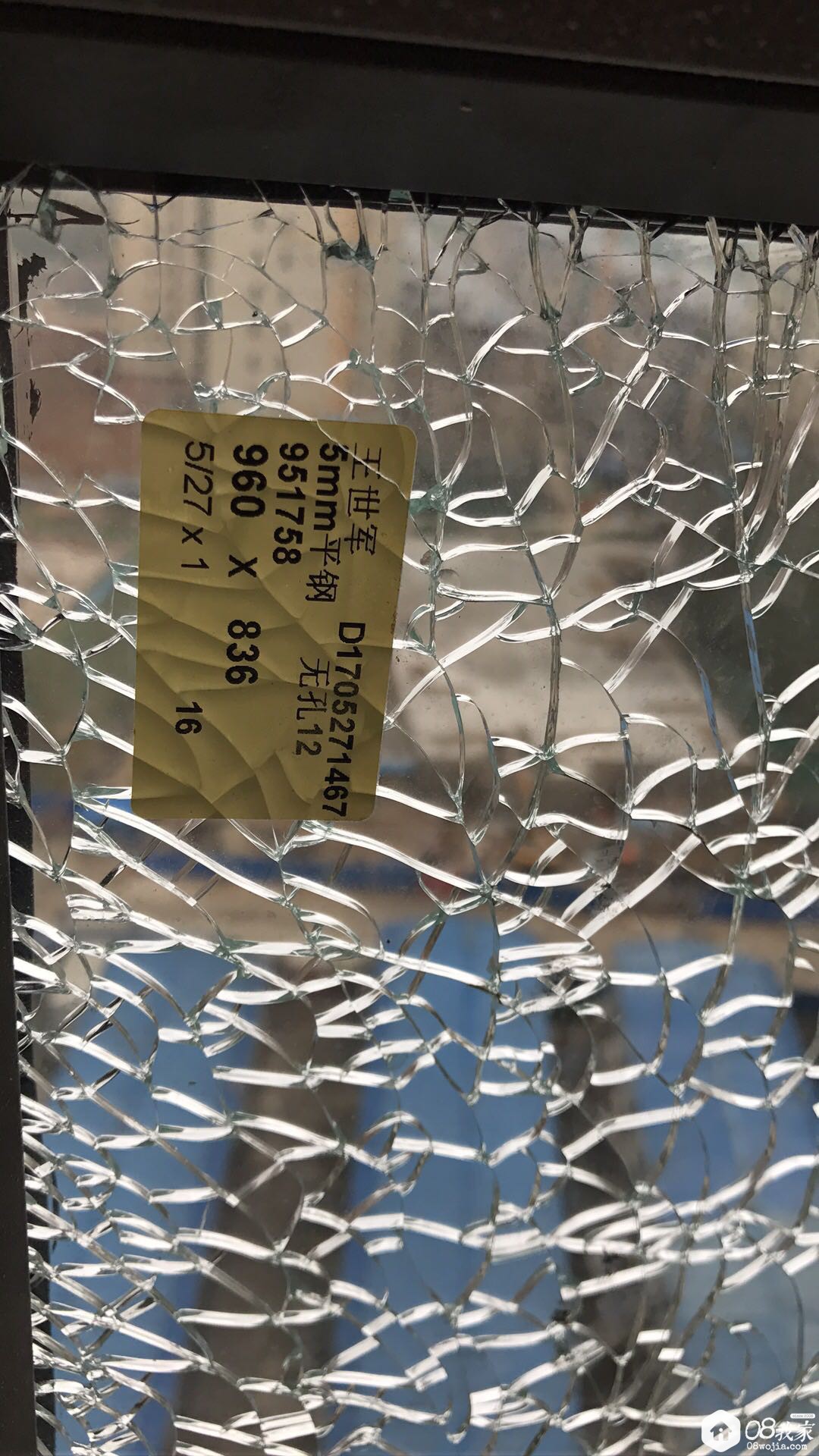 480503.jpg