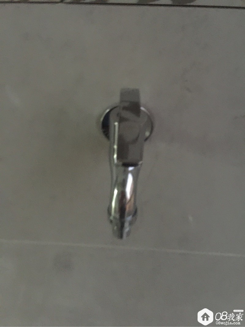 880071.jpg