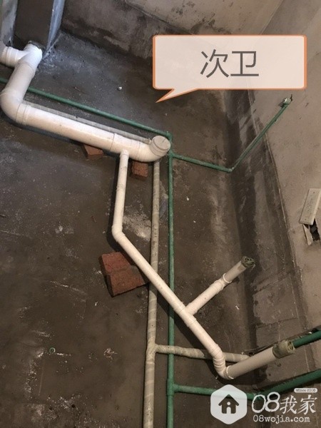 .jpg