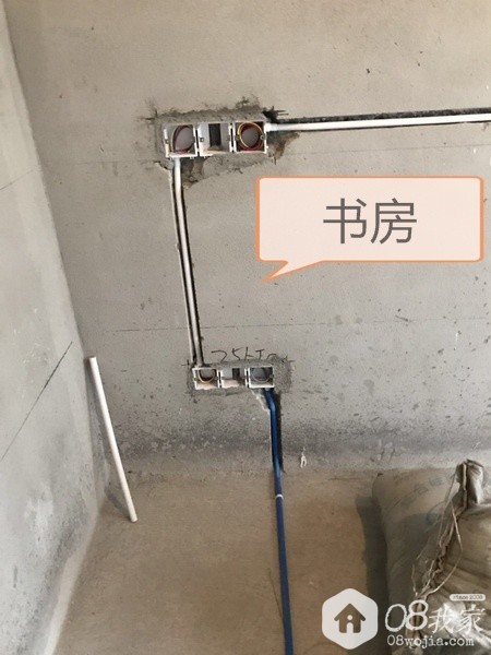 鷿.jpg