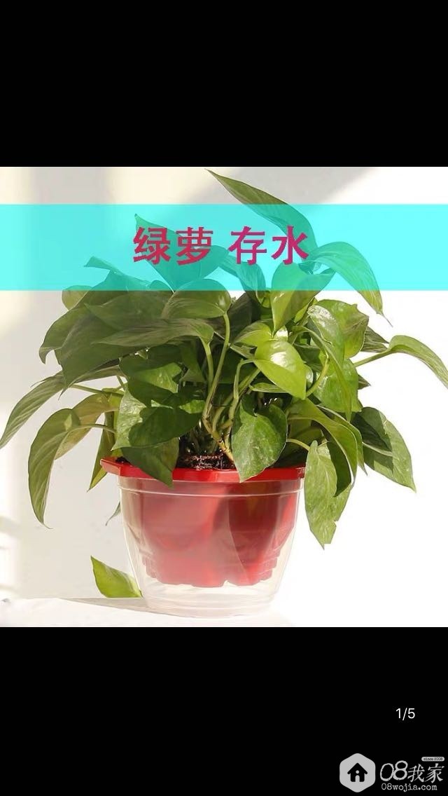 ΢ͼƬ_20190531152733.jpg