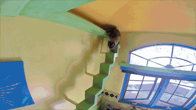 14.gif