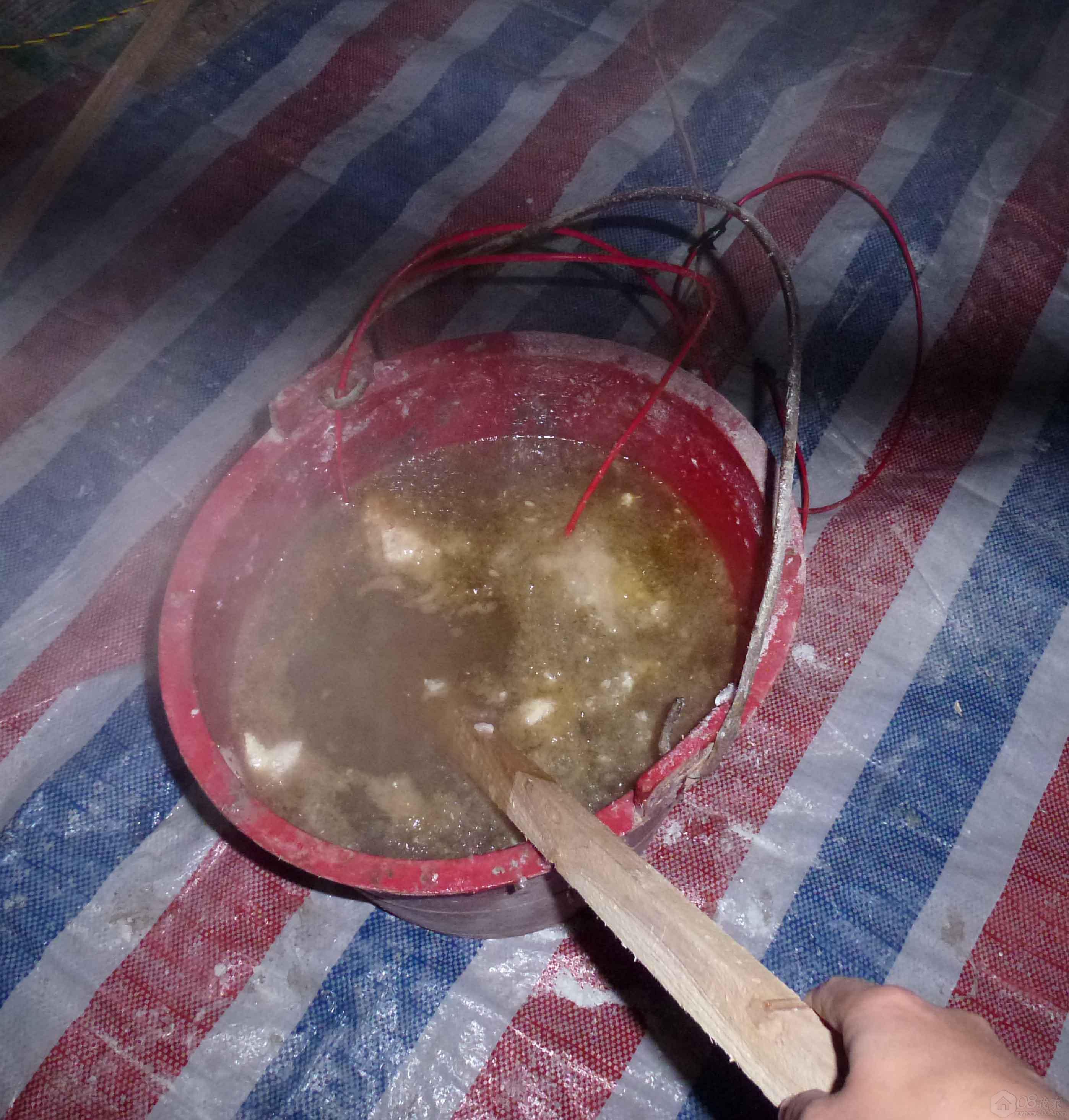 P1030307.JPG