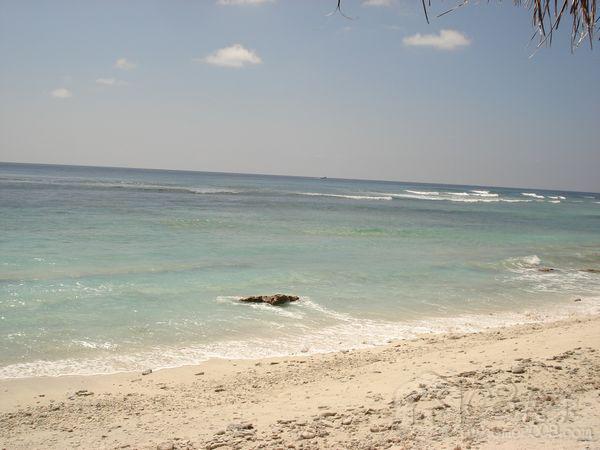 DSC06625.jpg