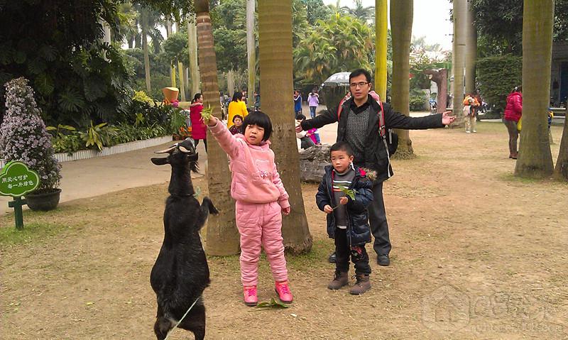 IMAG2605_.jpg