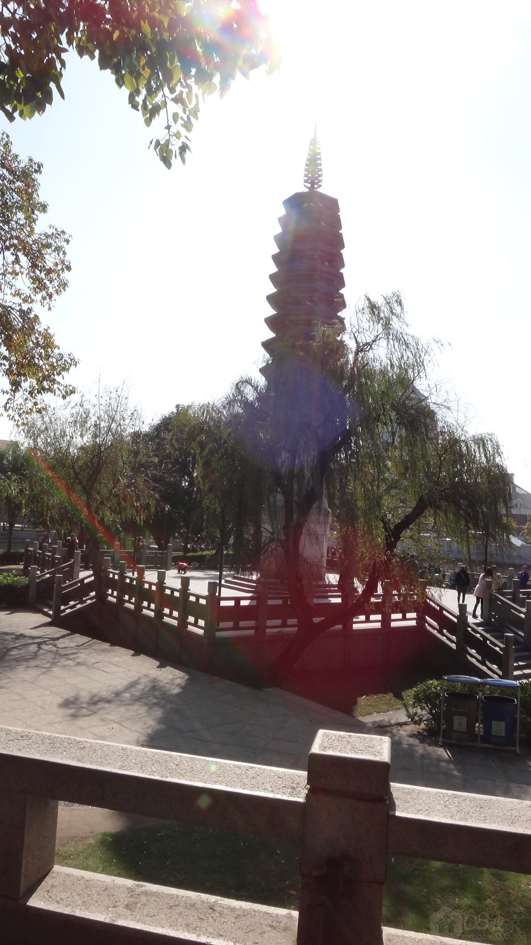 DSC01425.JPG