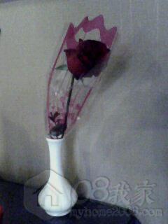 IMG0196A.jpg