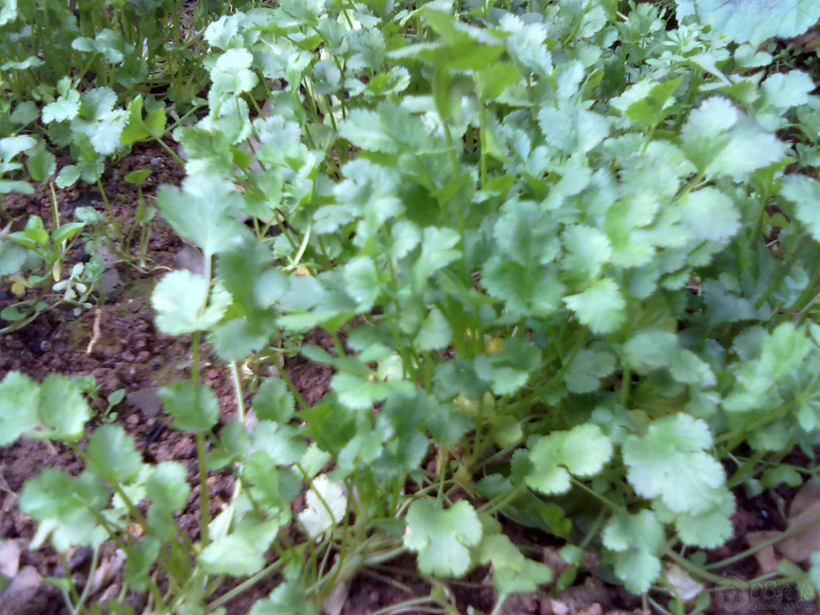 201303085721.jpg