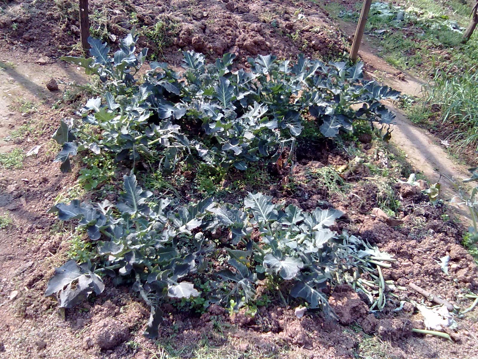 201303085702.jpg