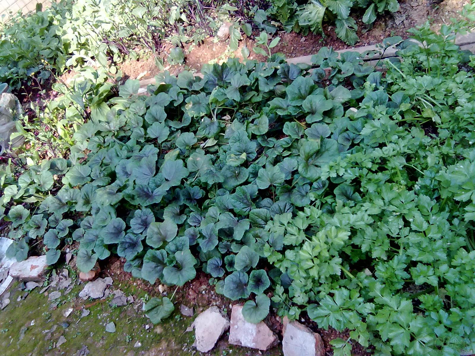 201303085707.jpg