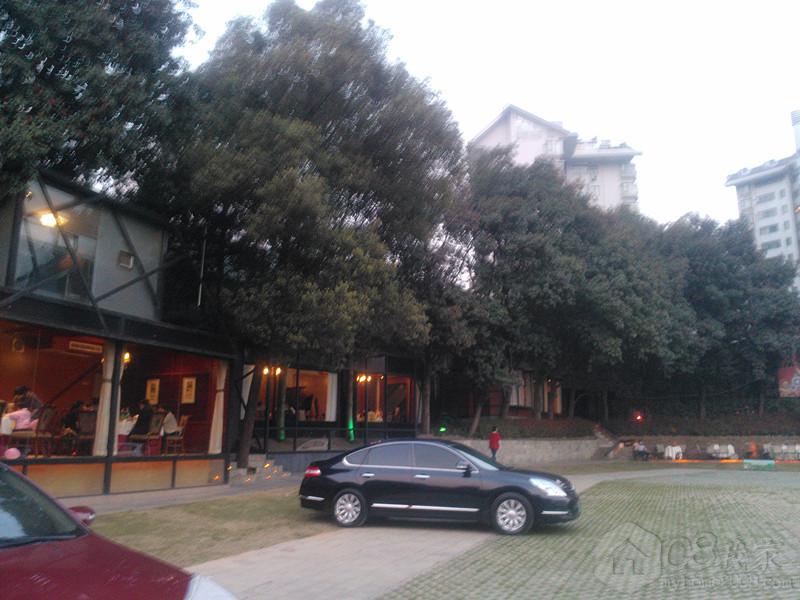 IMG20130308183924.jpg