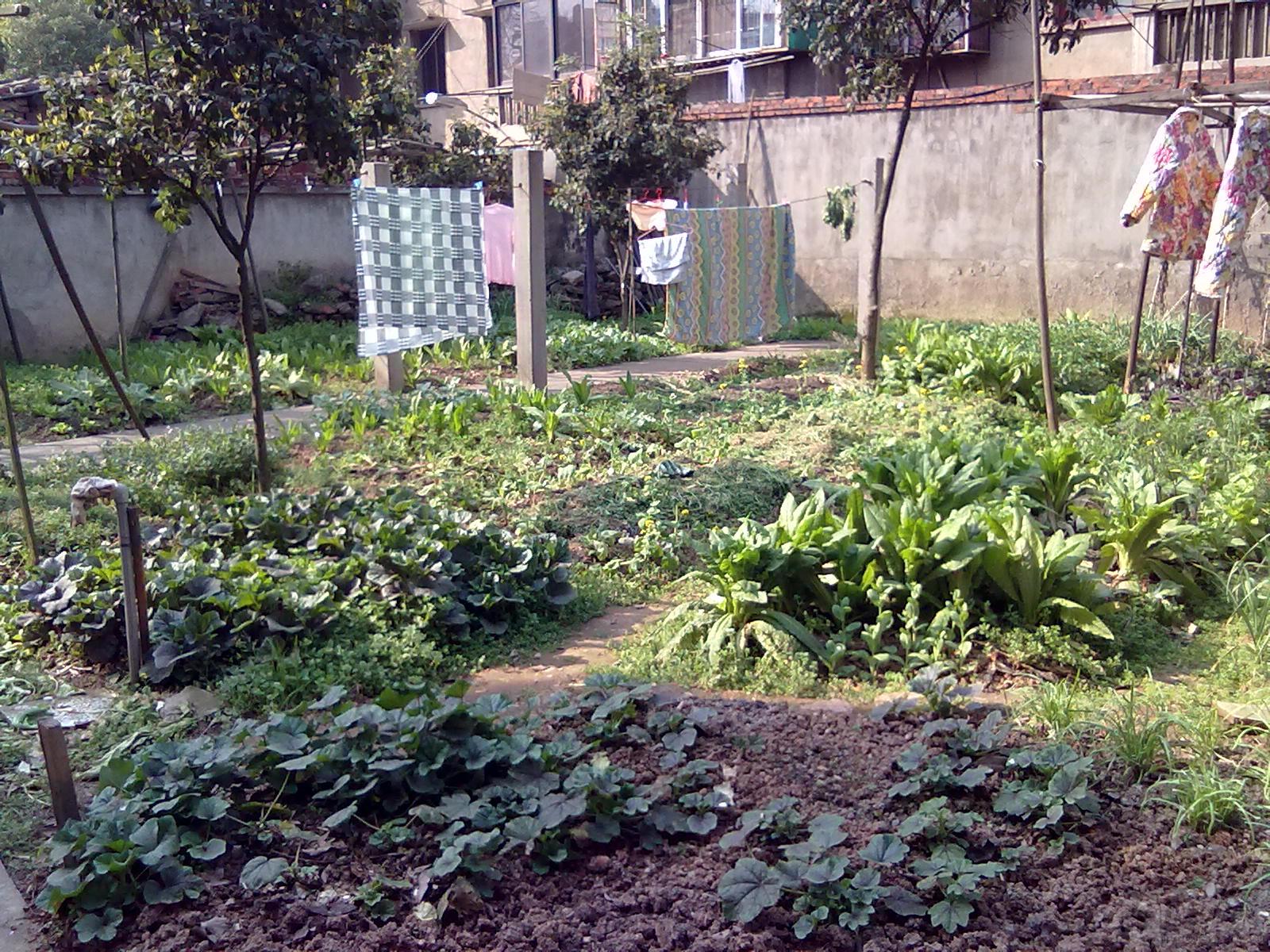 201303085694.jpg