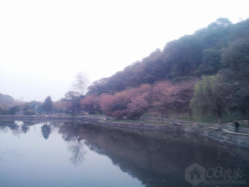 IMG20130308182938.jpg